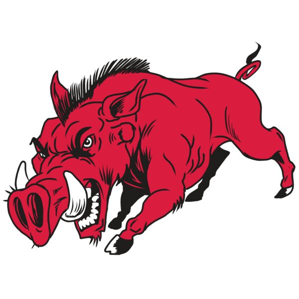 AR22 RAZORBACK 01 RQC Thumbnail